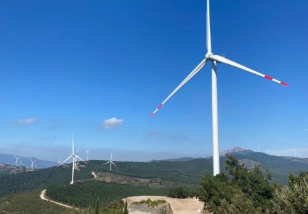 Yander Electric Engineering Consultancy Construction Tourism and Trade Inc. / Mersinli WPP